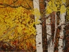 1st Prize - John Adeney Section - Autumn in Bright - Season Heise - Acrylic